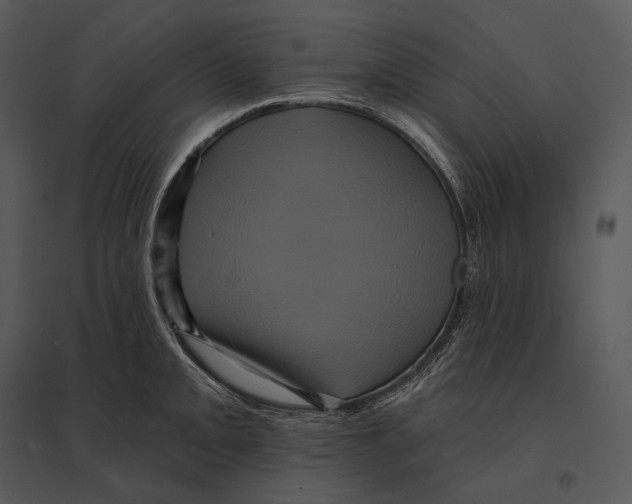 X0000095531093200801041240