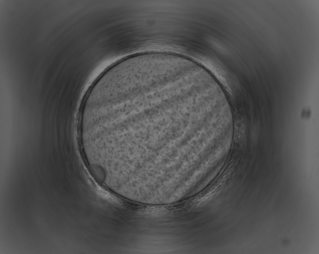 X0000095531094200801041240