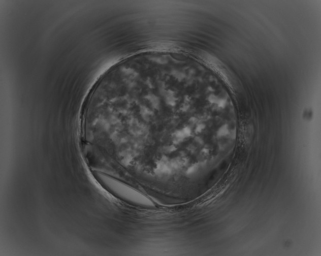 X0000095531095200801041240