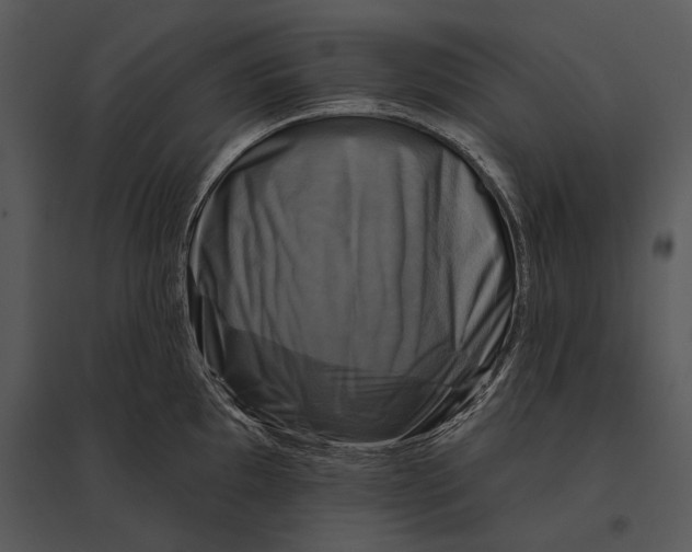 X0000095531097200801041240