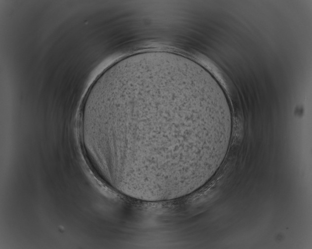 X0000095531098200801041240