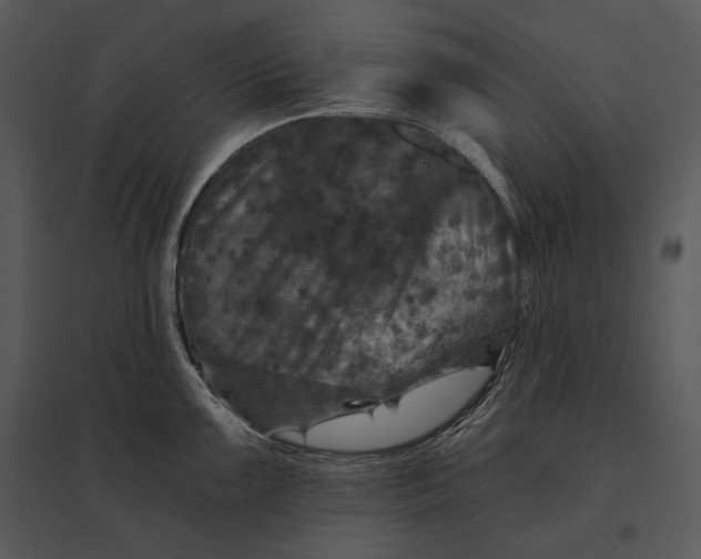 X0000095531099200801041240