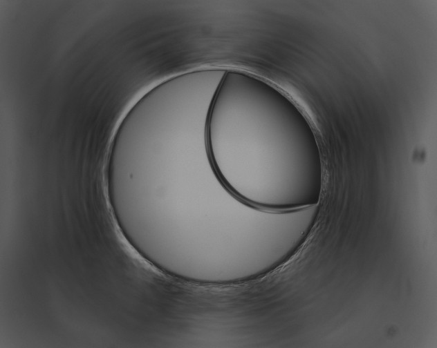 X0000095531100200801041240