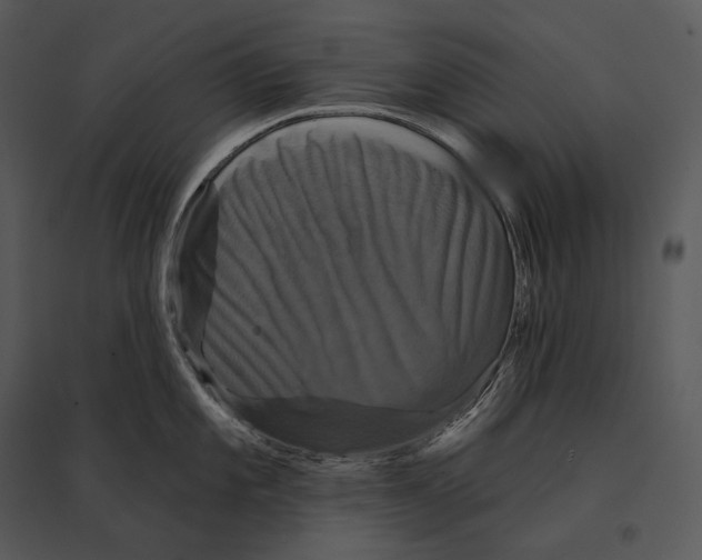 X0000095531101200801041240