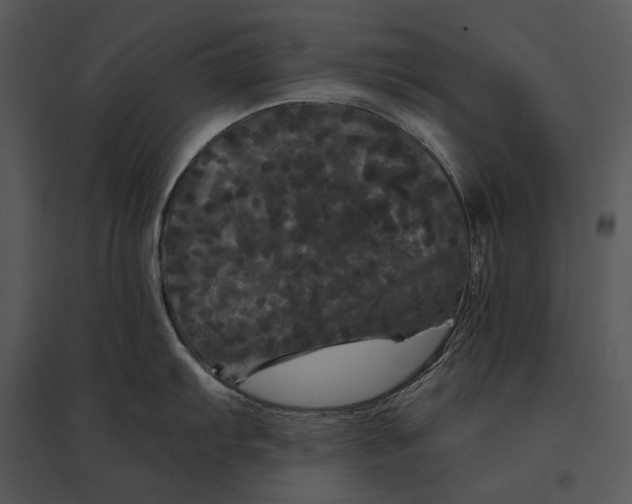 X0000095531103200801041240