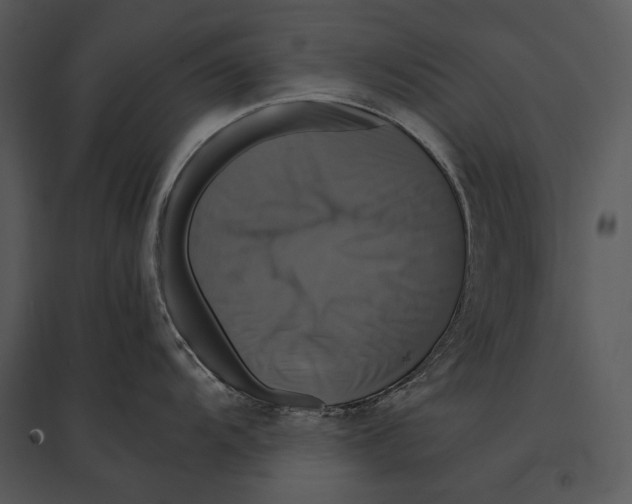 X0000095531104200801041240