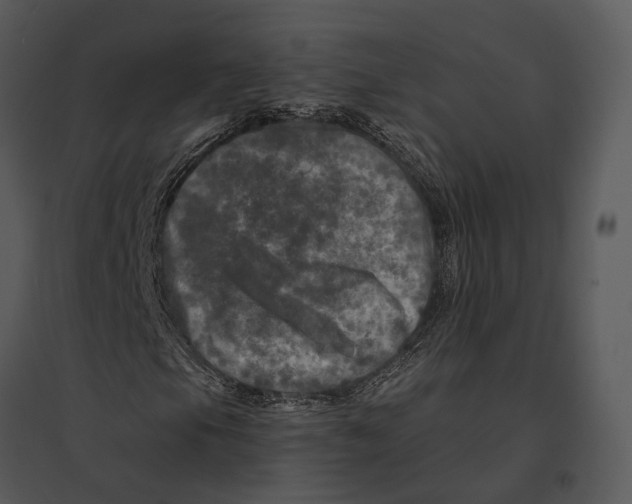 X0000095531105200801041239