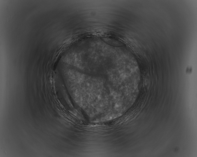 X0000095531106200801041239