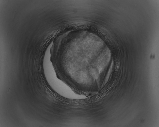 X0000095531108200801041239