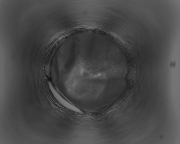 X0000095531110200801041239