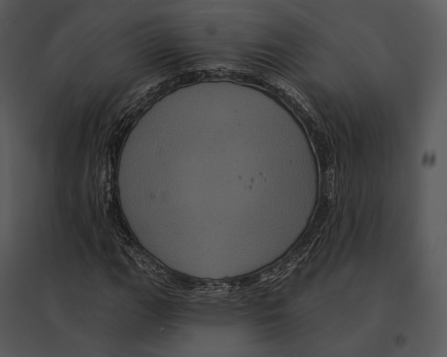 X0000095531111200801041239