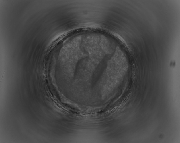 X0000095531112200801041239