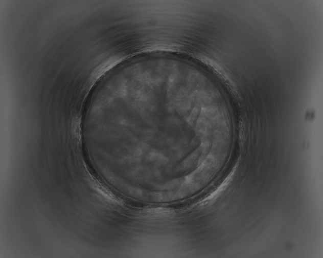 X0000095531113200801041239