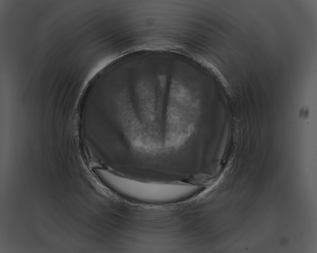 X0000095531114200801041239