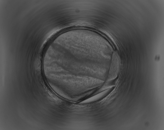 X0000095531115200801041239