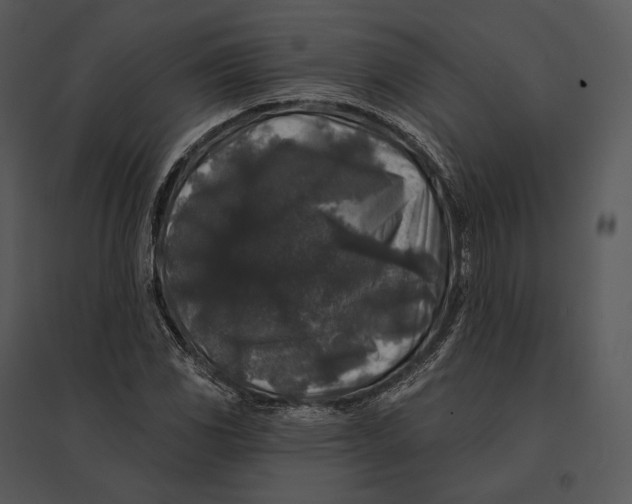 X0000095531117200801041239