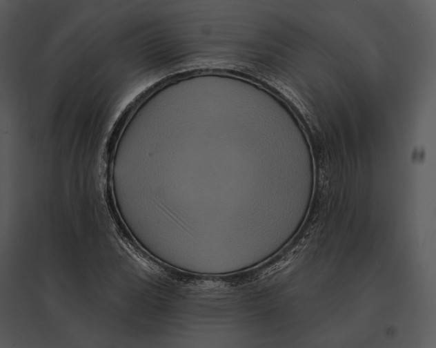 X0000095531119200801041239