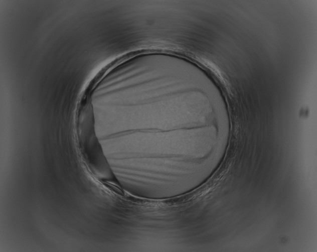 X0000095531120200801041239