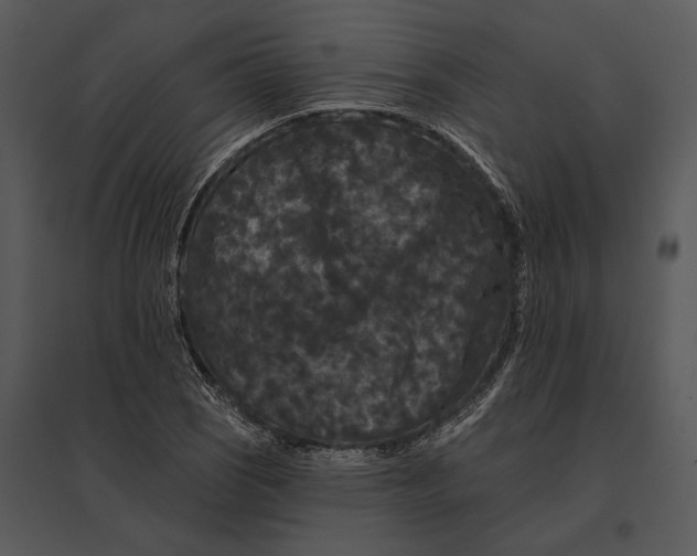 X0000095531121200801041239