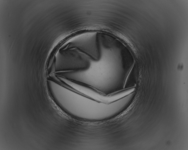 X0000095531122200801041239