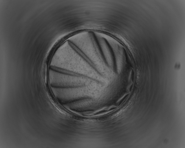 X0000095531123200801041239