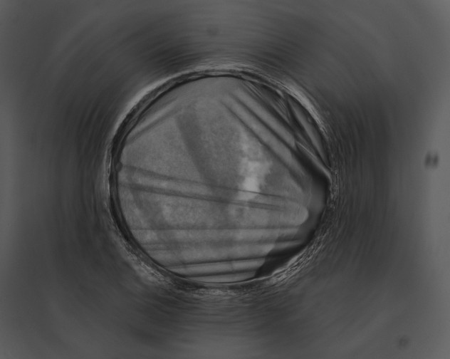 X0000095531124200801041239