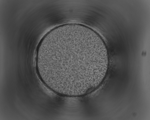 X0000095531126200801041239