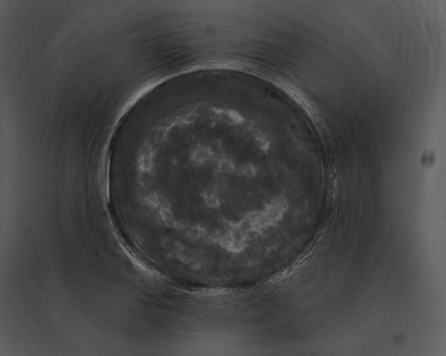 X0000095531127200801041239