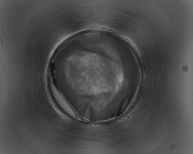 X0000095531128200801041239