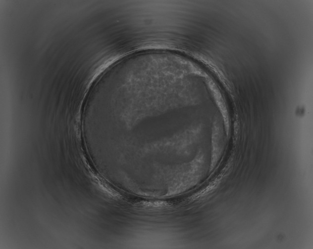 X0000095531129200801041239