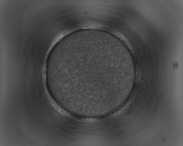 X0000095531130200801041239