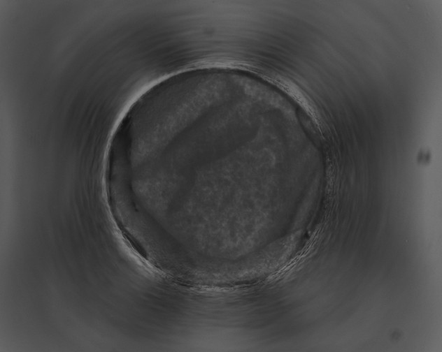 X0000095531132200801041239