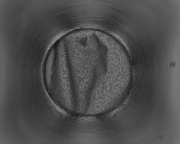 X0000095531133200801041239