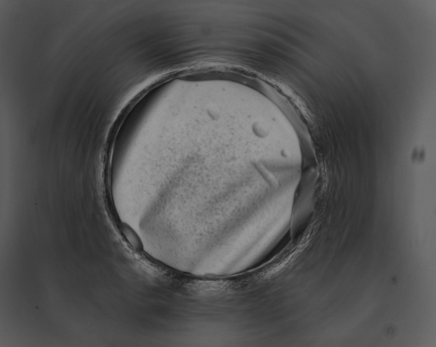 X0000095531134200801041239