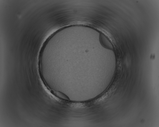 X0000095531135200801041239