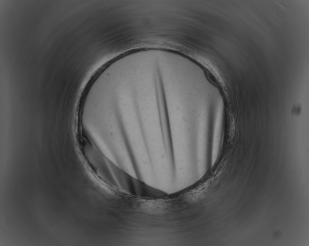 X0000095531136200801041239