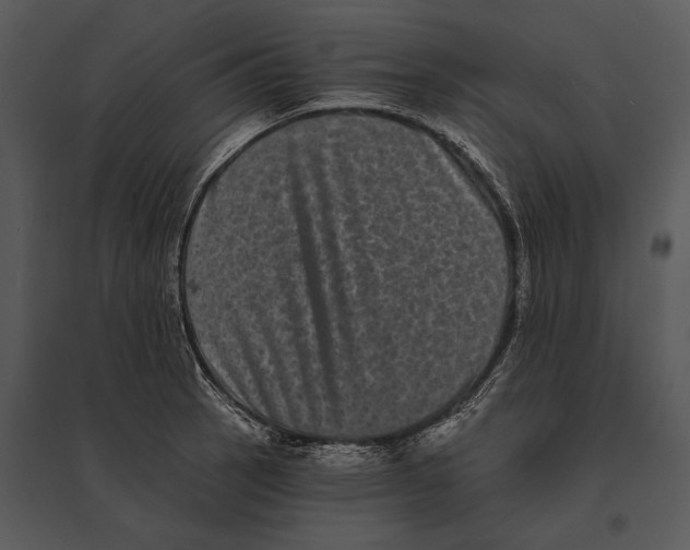 X0000095531137200801041239