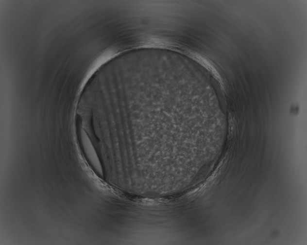 X0000095531138200801041239