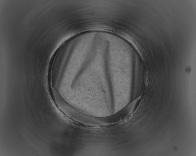 X0000095531139200801041239