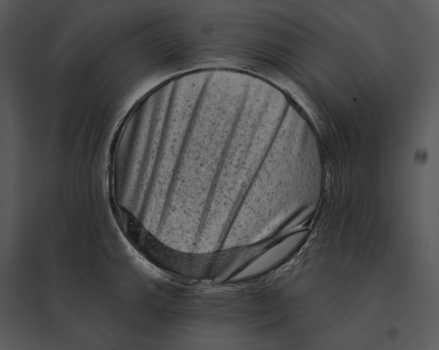 X0000095531143200801041240