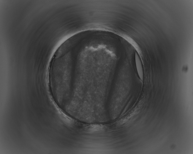 X0000095531144200801041240