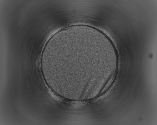 X0000095531145200801041240