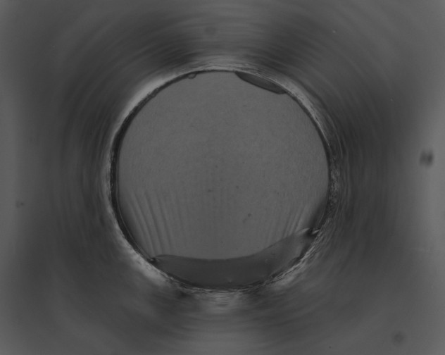 X0000095531147200801041240