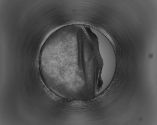 X0000095531148200801041240