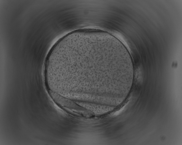 X0000095531149200801041240