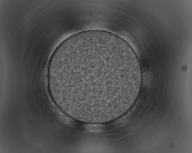 X0000095531150200801041240