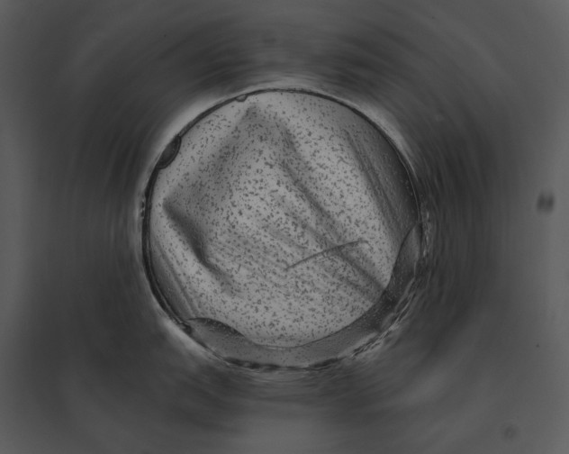 X0000095531151200801041240