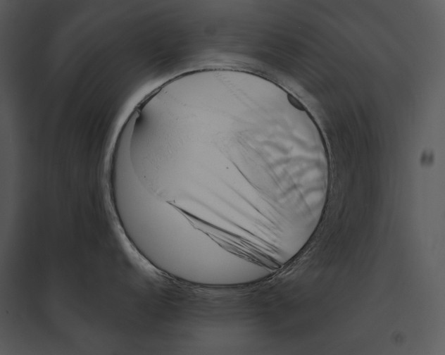 X0000095531152200801041240