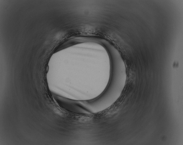 X0000095531153200801041239