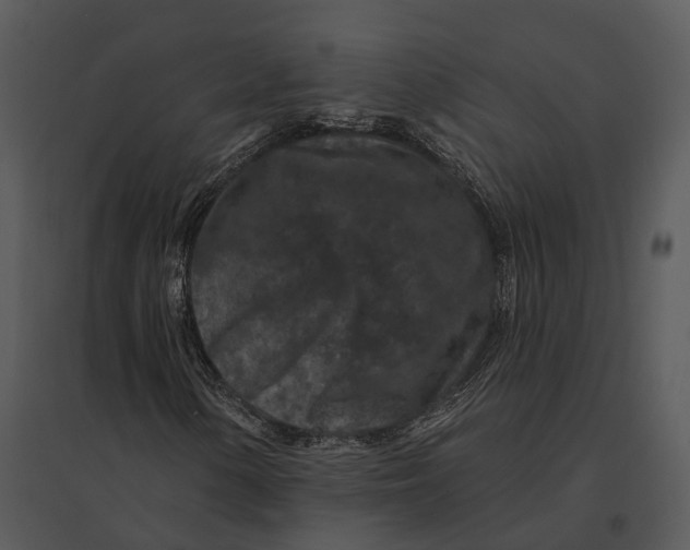 X0000095531154200801041239